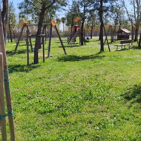 Medusa 波尔图圣乔治